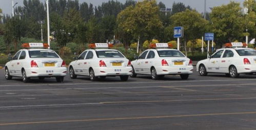本市機(jī)動(dòng)車駕駛員培訓(xùn)行業(yè)信用評(píng)價(jià)體系即將全面實(shí)施，促進(jìn)行業(yè)規(guī)范與服務(wù)質(zhì)量提升